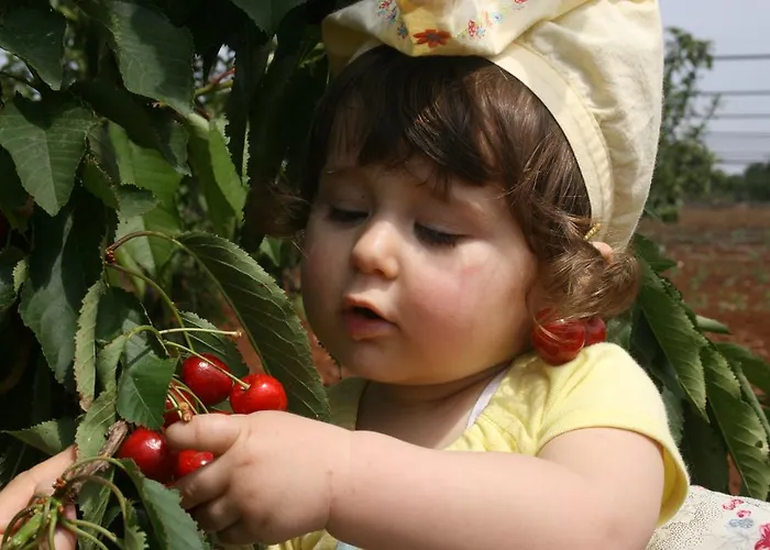 Bigaro Bed & Breakfast 3*